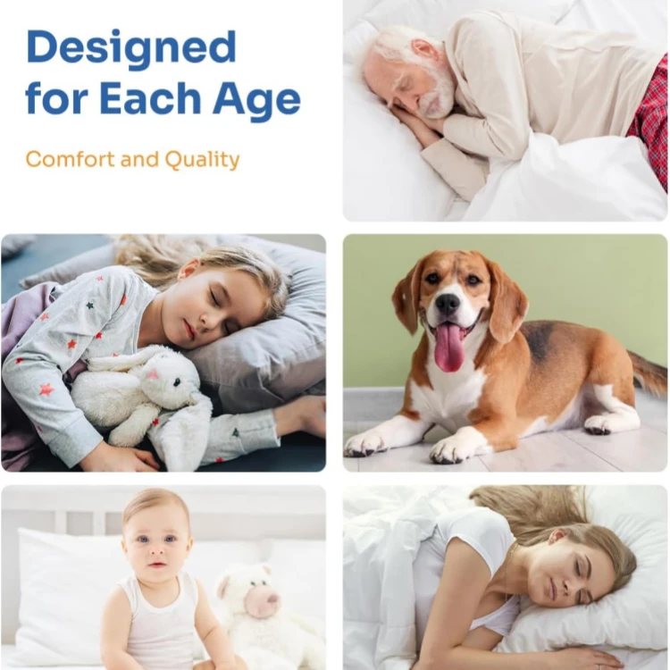Absorbent Bed Pads